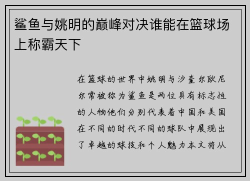 鲨鱼与姚明的巅峰对决谁能在篮球场上称霸天下